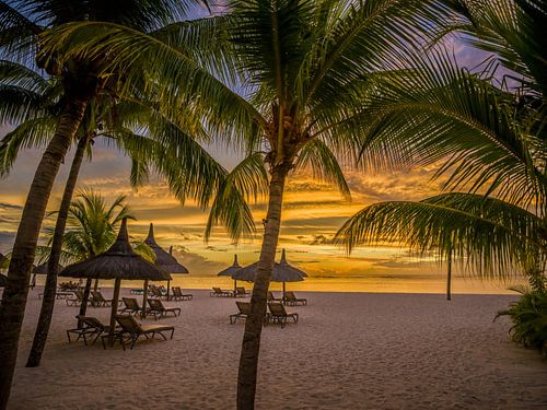 Mauritius – Sunset on the beach