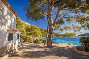 Strand Platja de Formentor, Mallorca