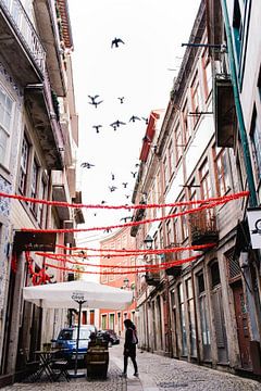 Vogels in de oude stad van Porto van Annemarie Rikkers