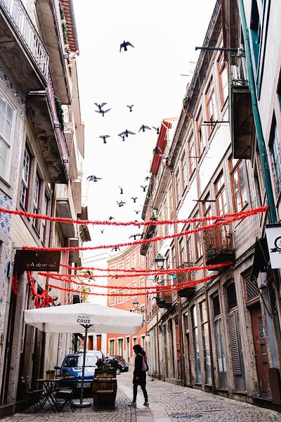 Vogels in de oude stad van Porto van Annemarie Rikkers