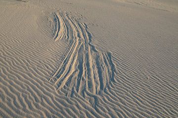 White Sands Dunes National Monument in New Mexico USA van Frank Fichtmüller