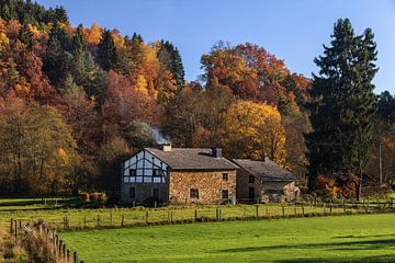 Autumn House by Marc Smits