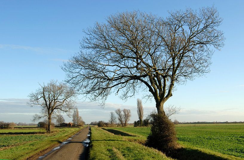 Thurlby Fen von Richard Wareham