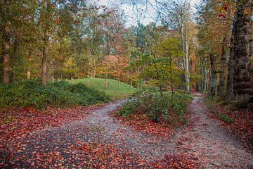 Herfstsfeer in het Amerongse Bos van Jan de Jong