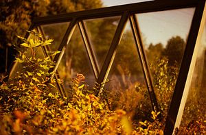 Goldene Glasflächen – Abendsonne am finnischen Bahnhof