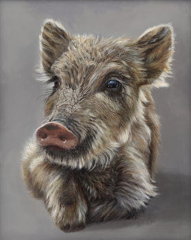 Forest Eyes - Leone Tonkinson