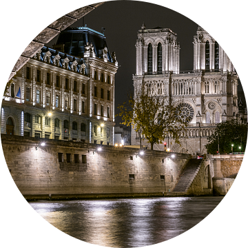 Notre Dame 's nachts vanonder de brug van Henk Verheyen