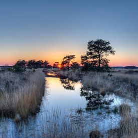 Sonnenuntergang Wierdense ven - Niederlande  von Jeroen(JAC) de Jong