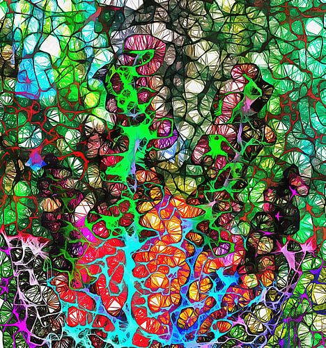 Van de bloemenrand 2