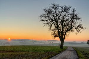 Nebulöser Sonnenuntergang