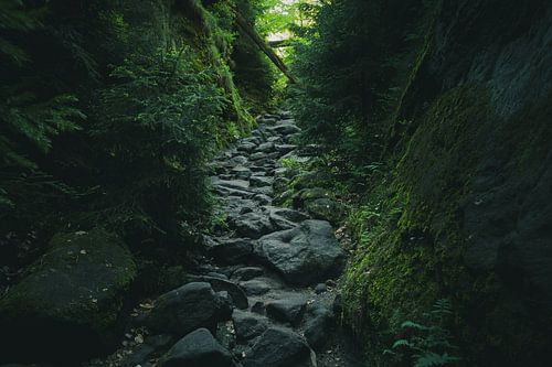 Wilde Hölle Sächsische Schweiz