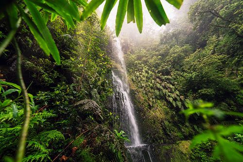 Caldeirão Verde by Loris Photography