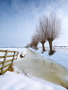 Schnee bedeckt die Polderlandschaft bei Noordeloos im Winter