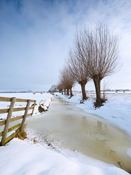 Sneeuw bedekt het polderlandschap bij Noordeloos in de winter