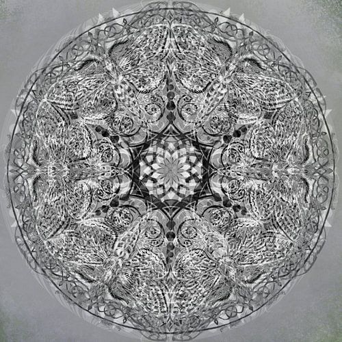 Mandala grafisch, zwart-wit