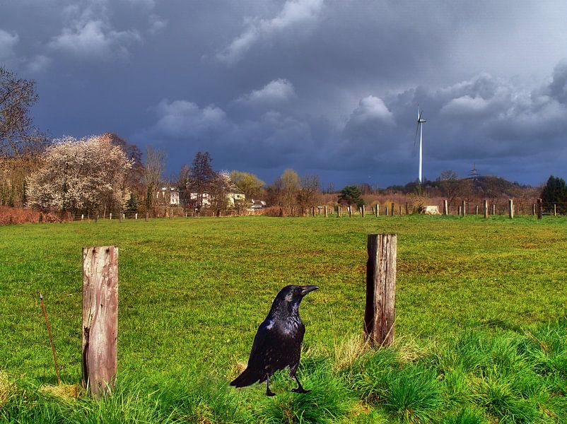 le Corbeau par Edgar Schermaul