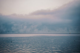 Birds on a misty waterline