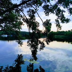 Spiegelung im See von Graham De With