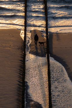 Walk the dog by Thom Brouwer