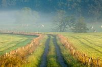 Sauerland, Germany II