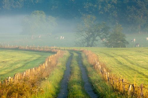 Sauerland, Germany II