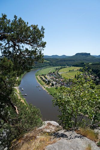 Bomen omlijsten het uitzicht op de Elbevallei