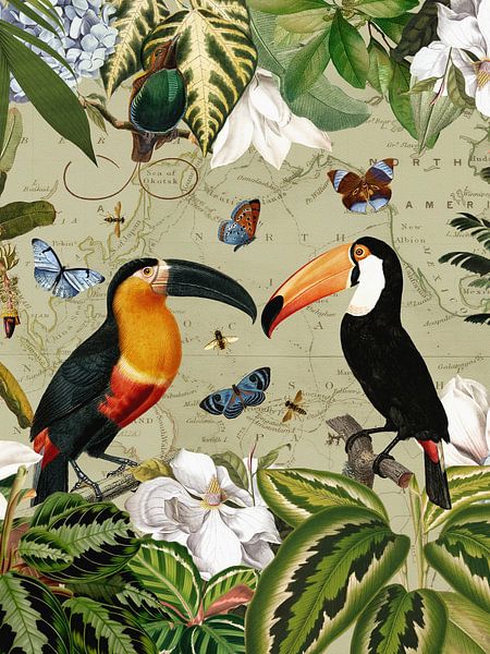 Tropical toucans and butterflies in the exotic jungle by Floral Abstractions