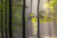 En er was licht