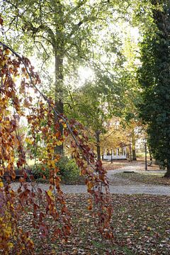 Herbstlicher Blick in Richtung Pavillon im Kurpark Bad Neustadtstadt von Martin Flechsig
