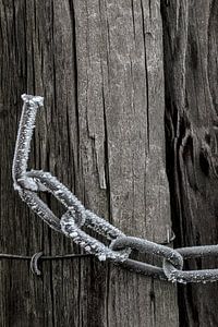frozen Chain. sur AGAMI Photo Agency