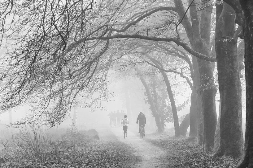 Sporters in het bos van Peter Haastrecht, van