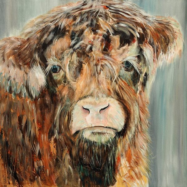 Veau écossais Highlander par Helma ‘t Lam