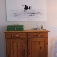 Photo de nos clients: Vaches à la campagne par Sandra Koppenhöfer, sur toile