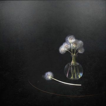 Minimalistisch Still leven met paardebloemen . van Saskia Dingemans Awarded Photographer