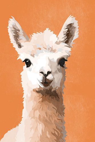 Alpaca in Orange