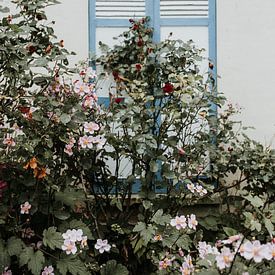 Minimalistisches Foto von Fensterläden mit Blumen - Normandie, Frankreich von Trix Leeflang