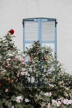 Photo minimaliste de volets de fenêtre avec des fleurs - Normandie, France