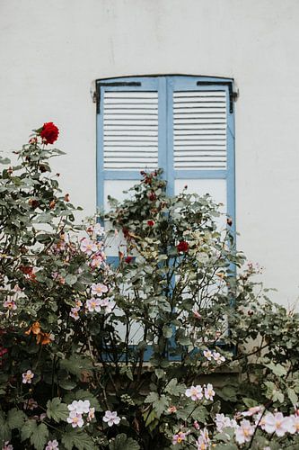 Minimalist photo of window shutters with flowers - Normandie, France by Trix Leeflang