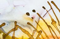 Yellow spring by angelique van Riet thumbnail