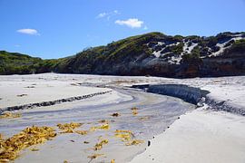 Silbrige Reflexe von Frank's Awesome Travels