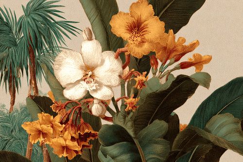 Tropical Flower Arrangement with Palm Leaves Classic Botanical Illustration