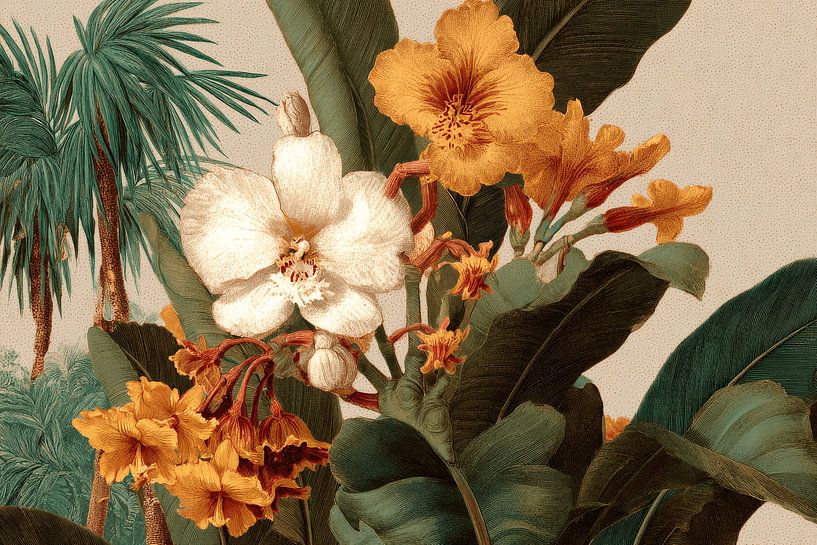 Tropical Flower Arrangement with Palm Leaves Classic Botanical Illustration by Eva Lee
