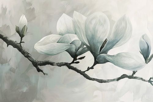 Magnolia