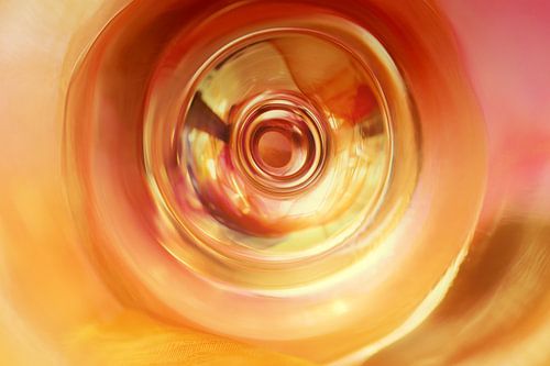 De kringloop van het leven / Circle of life