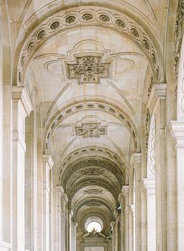 Details des Louvre in Paris, Frankreich von Alexandra Vonk