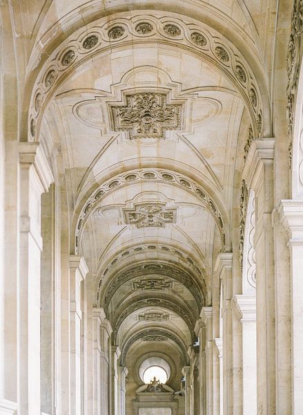 Details of the Louvre in Paris, France by Alexandra Vonk