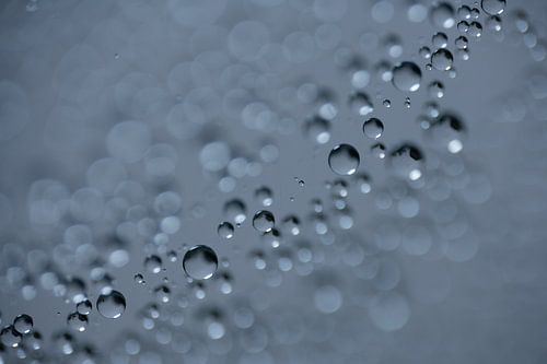 Tropfen in einem Spinnennetz