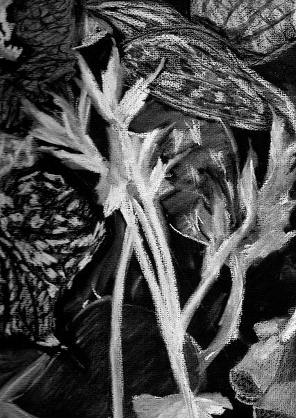 Ein Garten in der Nacht von Catharina Mastenbroek