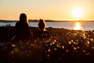 L'amitié, c'est : voir le soleil de minuit ensemble sur Ellis Peeters