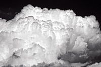 Formation II